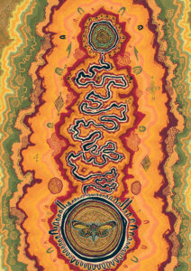 Squiggly Gum Moth Life Cycle. Artwork by Jeremy Worrall.